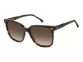 Carrera Gafas de Sol CA 3002/S 086/HA