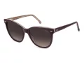 Carrera Gafas de Sol CA 3043/S 0T7/HA