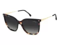 Carrera Gafas de Sol CA 3071/S 6UZ/WJ