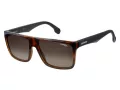 Carrera Gafas de Sol CA 5039/S 2OS/HA