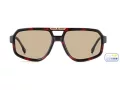Carrera Gafas de Sol CA Victory C 26/S 0UC/II
