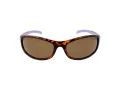 Champion Gafas de Sol CUW 5207 C02