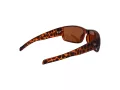 Champion Gafas de Sol CU 5146 C03