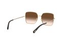 Dolce & Gabbana Gafas de Sol DG 2242 02/13