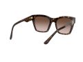 Dolce & Gabbana Gafas de Sol DG 4384 502/13