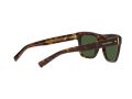 Dolce & Gabbana Gafas de Sol DG 4420 502/71