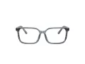 Dolce & Gabbana Kids Gafas Graduadas DX 3003 3482