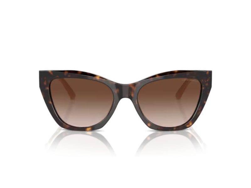 Emporio Armani Gafas de Sol EA 4176 587913