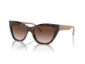 Emporio Armani Gafas de Sol EA 4176 587913