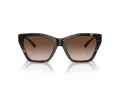 Emporio Armani Gafas de Sol EA 4203U 502613
