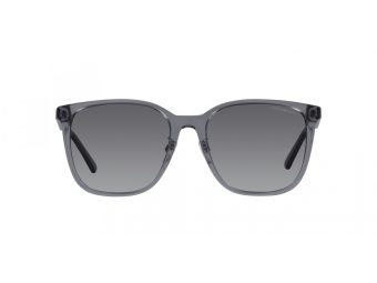 Emporio Armani Gafas de Sol EA 4206D 5029T3