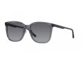 Emporio Armani Gafas de Sol EA 4206D 5029T3