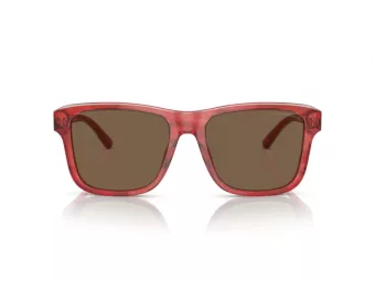 Emporio Armani Gafas de Sol EA 4208 605373