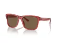 Emporio Armani Gafas de Sol EA 4208 605373