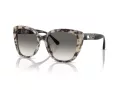 Emporio Armani Gafas de Sol EA 4214U 605811