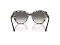 Emporio Armani Gafas de Sol EA 4214U 605811