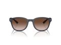 Emporio Armani Gafas de Sol EA 4225U 508813