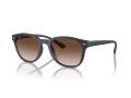 Emporio Armani Gafas de Sol EA 4225U 508813