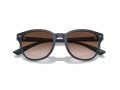 Emporio Armani Gafas de Sol EA 4225U 508813