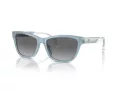 Emporio Armani Gafas de Sol EA 4227U 609611
