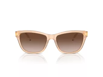 Emporio Armani Gafas de Sol EA 4227U 609813