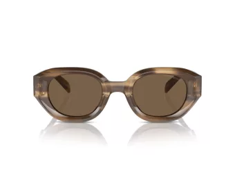 Emporio Armani Gafas de Sol EA 4230U 614973