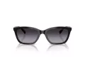 Emporio Armani Gafas de Sol EA 4238 50178G