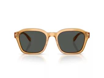 Emporio Armani Gafas de Sol EA 4245U 624687