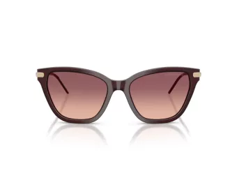 Emporio Armani Gafas de Sol EA 4251 62658D
