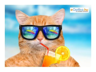 Paño de limpieza para gafas