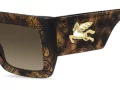 Etro Gafas de Sol ETRO 0108/S H7P/HA