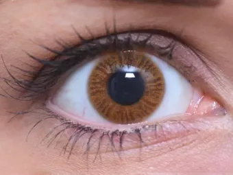   ColourVUE Monocapa Miel (2 unidades) , destaque, 3 lentillas mensuales