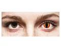 ColourVUE Crazy One-Day Dragon Eyes (2 unidades)