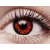 ColourVUE Crazy One-Day Volturi (2 unidades)