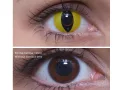 ColourVUE Crazy Ojo de gato (2 unidades) , cubierta, 3 lentillas mensuales