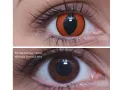 ColourVUE Crazy Mad Frog (2 unidades) , cubierta, 3 lentillas mensuales - sin dioptrías 
