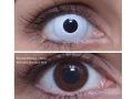 ColourVUE Crazy Whiteout (2 unidades) , cubierta, 3 lentillas mensuales - sin dioptrías 