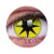 ColourVUE Crazy Estrella amarilla (2 unidades) , cubierta, 3 lentillas mensuales - sin dioptrías 