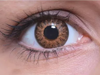   ColourVUE Glamour Miel (2 unidades) , destaque, 3 lentillas mensuales