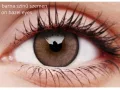 ColourVUE Lumina Shinning Brown (2 unidades) , destaque, 3 lentillas mensuales