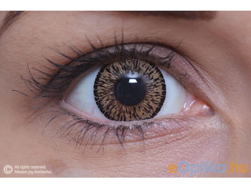 ColourVUE Elegance Marrón (2 unidades)