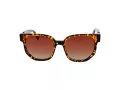 Funky Buddha Gafas de Sol FB 2052 004