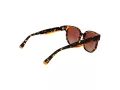 Funky Buddha Gafas de Sol FB 2052 004