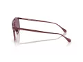 Ferrari Gafas de Sol FH 1017 120/7J