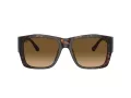 Ferrari Gafas de Sol FH 2003U 702/M2