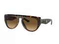 Ferrari Gafas de Sol FH 2005U 702/M2