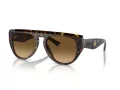 Ferrari Gafas de Sol FH 2005U 702/M2