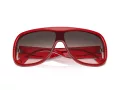 Ferrari Gafas de Sol FH 2006U 706/46