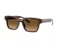 Ferrari Gafas de Sol FH 2011U 725/M2