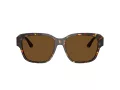 Ferrari Gafas de Sol FH 2016D 731/57
